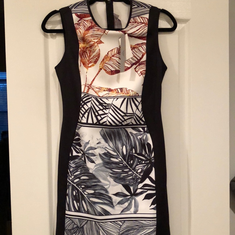 Clover Canyon designer fitted dress